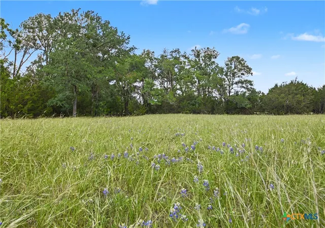 Photo 3 of Land for sale at 179 E County Rd 318, Goldthwaite, TX 76844 | MLS# 613517 | Listing updated on 2026-05-13