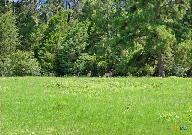 2nd image of Tbd (tracts 11 & 12) St Delight, Paige, TX 78659 | MLS# 613603
