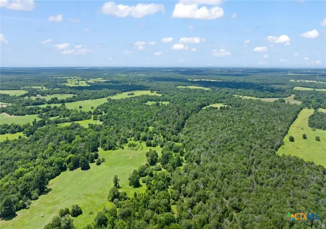 42nd image of Tbd (tracts 11 & 12) St Delight, Paige, TX 78659 | MLS# 613603