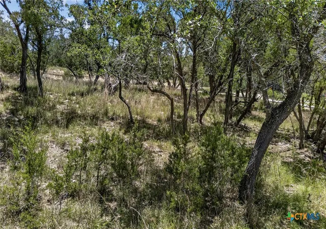 Photo 1 of Land for sale at 00 Campbell Dr, Canyon Lake, TX 78133 | MLS# 613851 | Listing updated on 2026-05-16