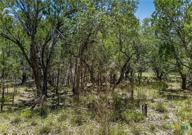 Photo 1 of Land for sale at 00 Campbell Dr, Canyon Lake, TX 78133 | MLS# 613851 | Listing updated on 2026-05-16