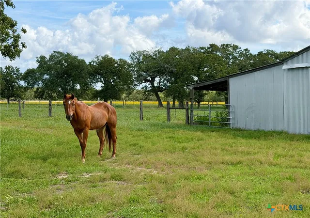 2nd image of 15631 Fm 682   Tract B, Yoakum, TX 77995 | MLS# 613944