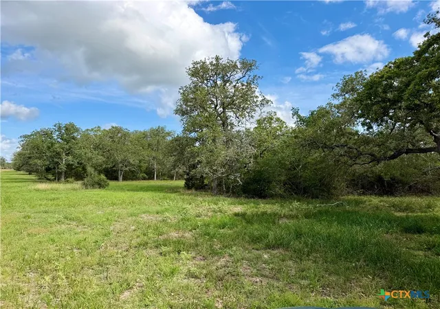 4th image of 15631 Fm 682 - Tract B, Yoakum, TX 77995 | MLS# 613944