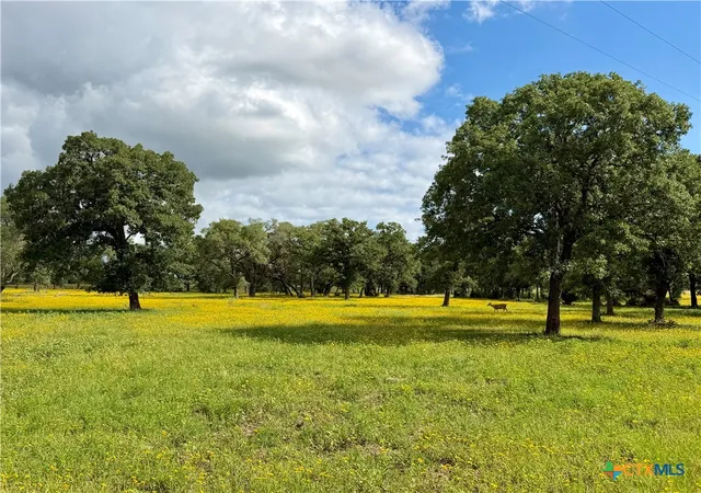 1st image of 15631 Fm 682   Tract C, Yoakum, TX 77995 | MLS# 613945