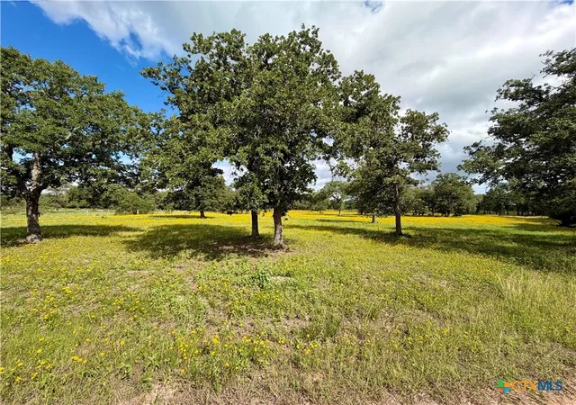 3rd image of 15631 Fm 682 - Tract C, Yoakum, TX 77995 | MLS# 613945