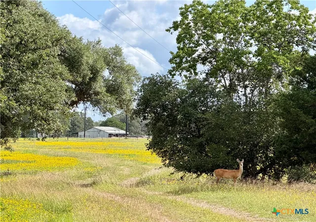 4th image of 15631 Fm 682 - Tract C, Yoakum, TX 77995 | MLS# 613945
