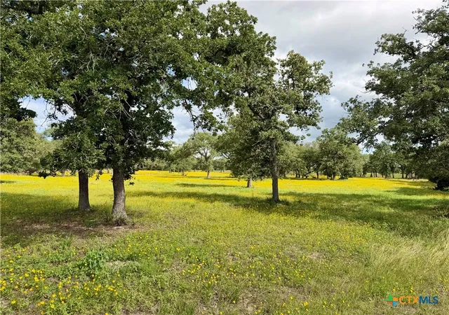 5th image of 15631 Fm 682 - Tract C, Yoakum, TX 77995 | MLS# 613945