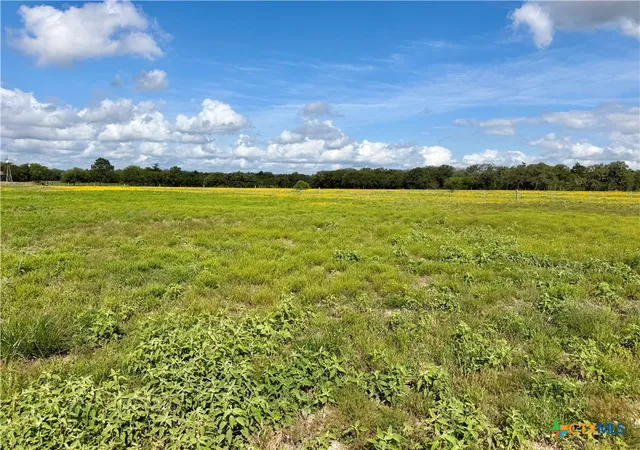 3rd image of 15631 Fm 682 - Tract D, Yoakum, TX 77995 | MLS# 613946