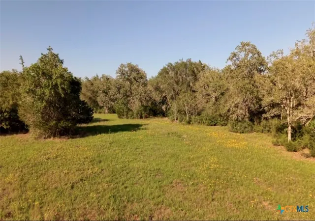4th image of 15631 Fm 682 - Tract E, Yoakum, TX 77995 | MLS# 613947