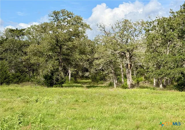 2nd image of 15631 Fm 682   Tract F, Yoakum, TX 77995 | MLS# 613948