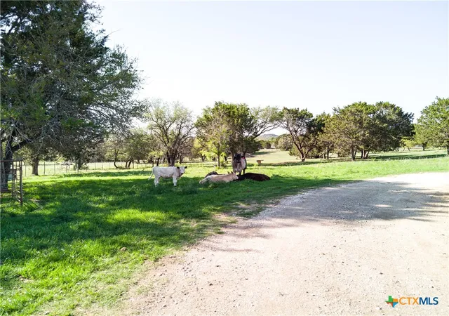 Homes for sale in Kempner, TX | 690-A County Road 4707, Kempner, TX 76539 | MLS# 614038
