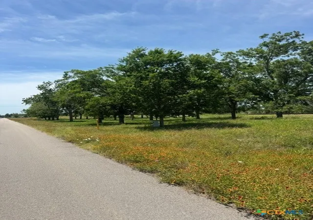 4th image of 532 Old Gonzales Rd, Cuero, TX 77954 | MLS# 614047