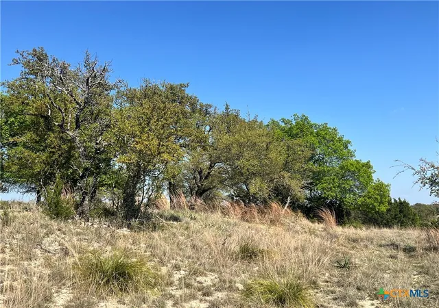 Photo 4 of Land for sale at Lot 24 Private Rd 3643, Copperas Cove, TX 76522 | MLS# 614152 | Listing updated on 2026-05-19