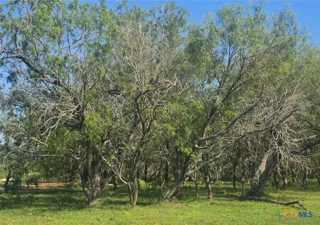 5th image of 766 Rawhide Rd, Seguin, TX 78155 | MLS# 613676