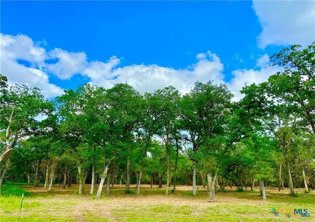 Homes for sale in Inez, TX | 208 Post Oak Rd, Inez, TX 77968 | MLS# 614093