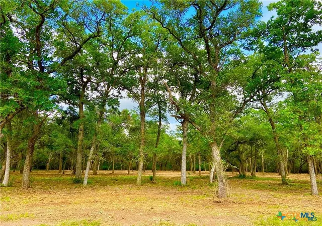 Homes for sale in Inez, TX | 208 Post Oak Rd, Inez, TX 77968 | MLS# 614093