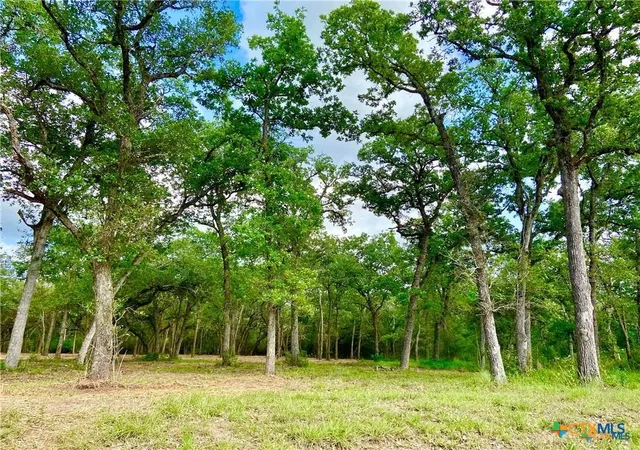 Homes for sale in Inez, TX | 208 Post Oak Rd, Inez, TX 77968 | MLS# 614093