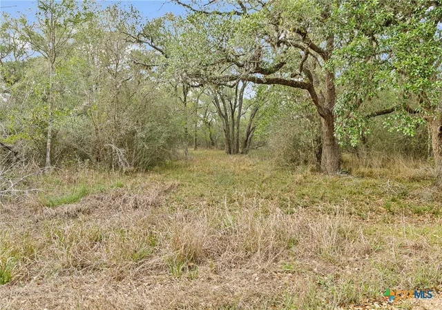 2nd image of Tract 6 Fm 530, Edna, TX 77957 | MLS# 613620