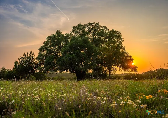 Photo 3 of Land for sale at 2170 County Rd 228, Hico, TX 76457 | MLS# 614413 | Listing updated on 2026-07-22