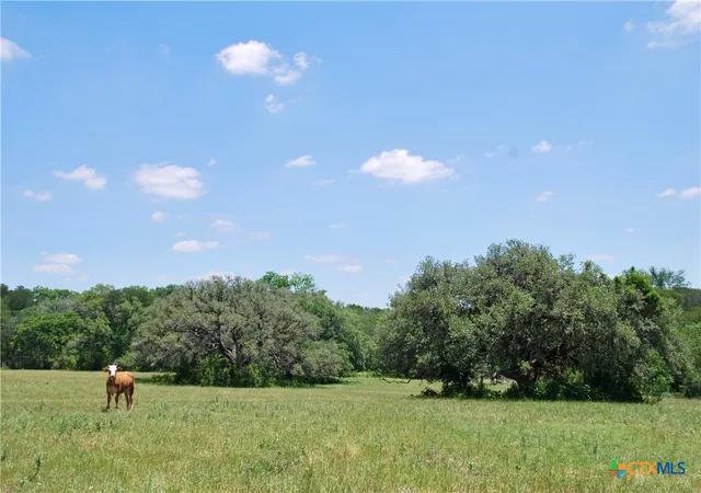 Homes for sale in Weimar, TX | 2116 Langdon Rd, Weimar, TX 78962 | MLS# 614445