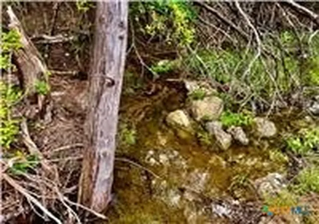 3rd image of 2017 County Road 222, Kempner, TX 76539 | MLS# 614511