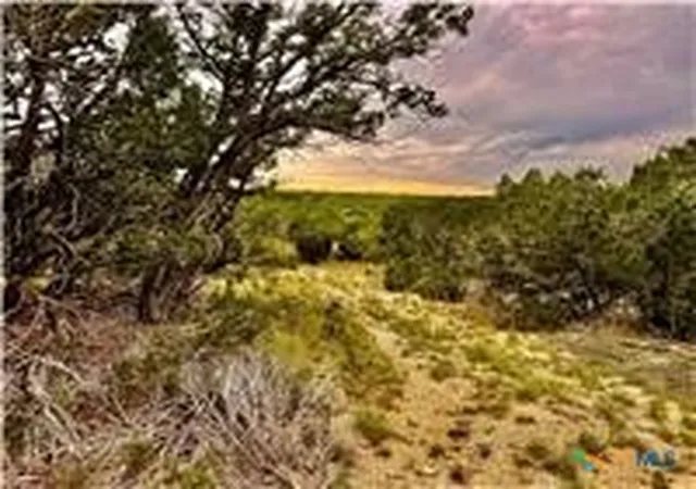 4th image of 2017 County Road 222, Kempner, TX 76539 | MLS# 614511