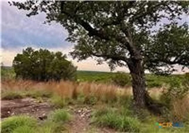 5th image of 2017 County Road 222, Kempner, TX 76539 | MLS# 614511
