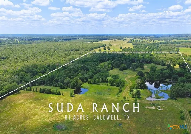 1st image of 5380 County Road 132 (8102 Acres), Somerville, TX 77879 | MLS# 614371