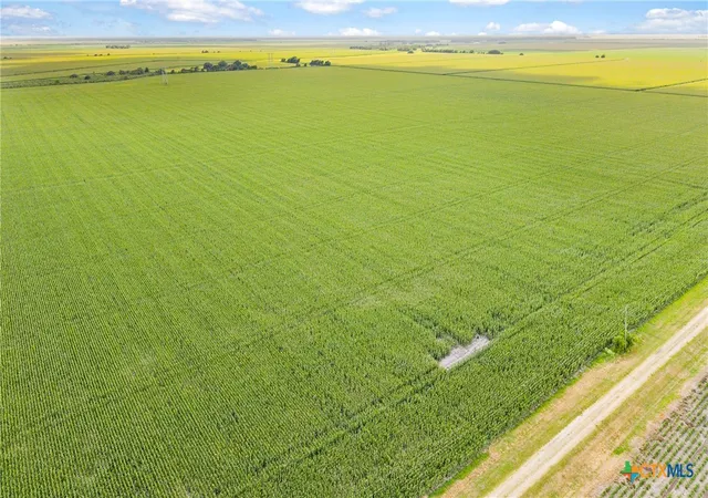 Photo 3 of Land for sale at 1373 County Rd 444, Louise, TX 77455 | MLS# 614781 | Listing updated on 2026-05-26