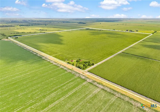 9th image of 1373 County Road 444, Louise, TX 77455 | MLS# 614781