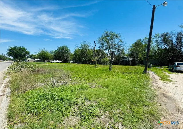Homes for sale in Seguin, TX | 419 Braden St, Seguin, TX 78155 | MLS# 610750