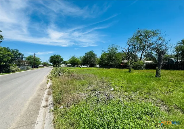 Homes for sale in Seguin, TX | 419 Braden St, Seguin, TX 78155 | MLS# 610750