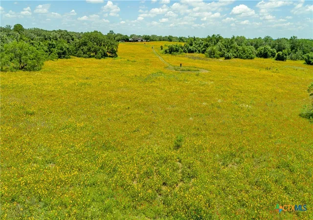 4th image of 9393 Us Hwy 87, Westhoff, TX 77994 | MLS# 614856