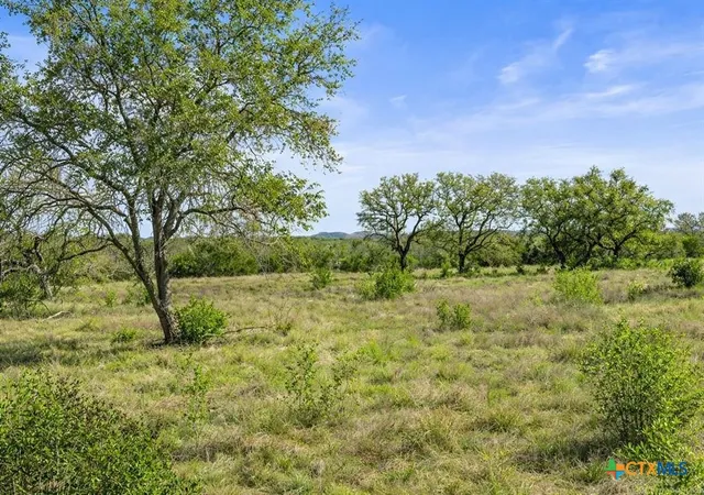 Homes for sale in Johnson City, TX | 0 Live Oak Ranch, Johnson City, TX 78636 | MLS# 614933