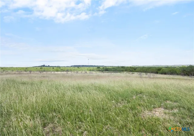 Photo 2 of Land for sale at 1190 Dickerson Rd, Lockhart, TX 78644 | MLS# 614947 | Listing updated on 2026-06-04