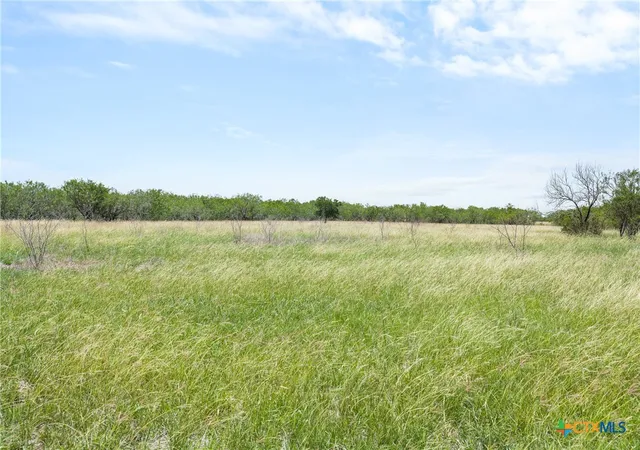 Photo 3 of Land for sale at 1190 Dickerson Rd, Lockhart, TX 78644 | MLS# 614947 | Listing updated on 2026-06-04