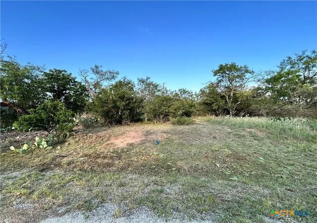 Homes for sale in Kingsland, TX | 0 Cactus Trl, Kingsland, TX 78639 | MLS# 615255