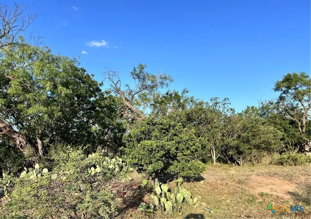 Photo 3 of Land for sale at 0 Cactus Trl, Kingsland, TX 78639 | MLS# 615255 | Listing updated on 2026-05-30