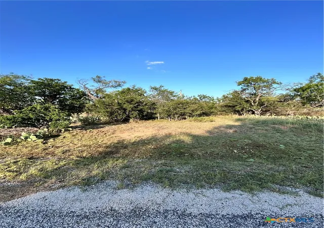 Homes for sale in Kingsland, TX | 0 Cactus Trl, Kingsland, TX 78639 | MLS# 615255