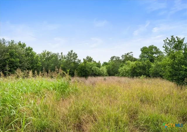 Homes for sale in Waelder, TX | 288 Charcoal Rd, Waelder, TX 78959 | MLS# 615364
