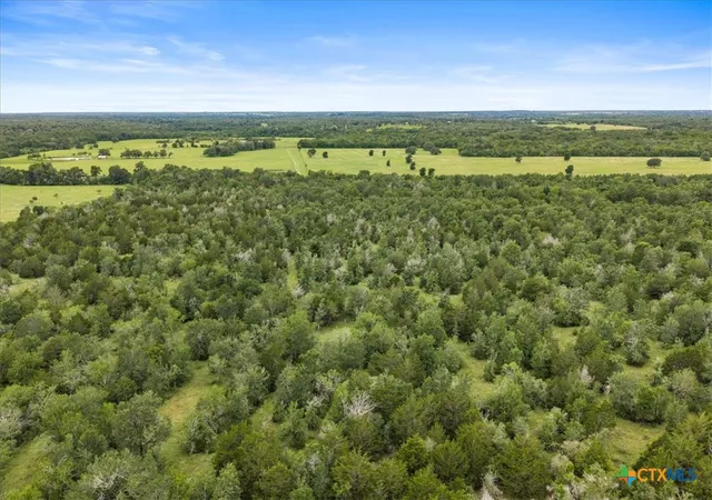 Homes for sale in Waelder, TX | 288 Charcoal Rd, Waelder, TX 78959 | MLS# 615364