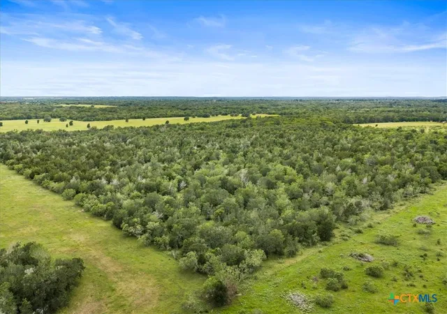 Homes for sale in Waelder, TX | 288 Charcoal Rd, Waelder, TX 78959 | MLS# 615364