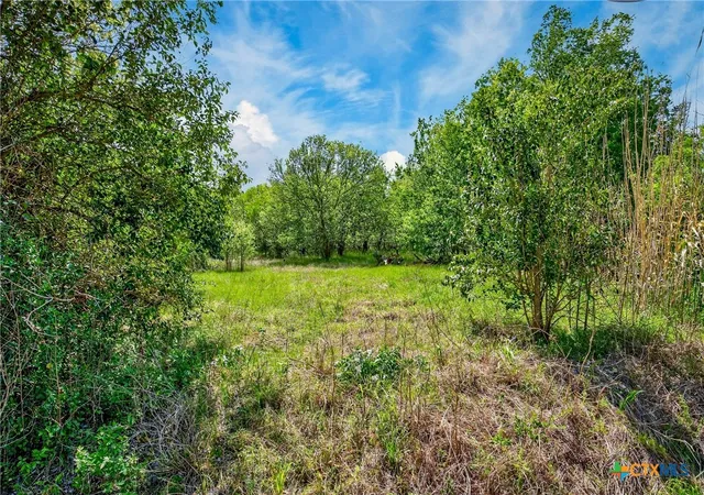 4th image of 0000 Fm 1854, Dale, TX 78616 | MLS# 614375