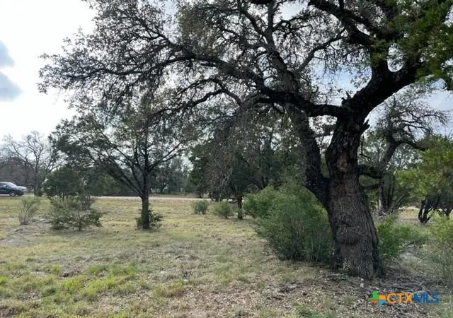 7th image of Lt 14050 Southwind, Horseshoe Bay, TX 78657 | MLS# 614116
