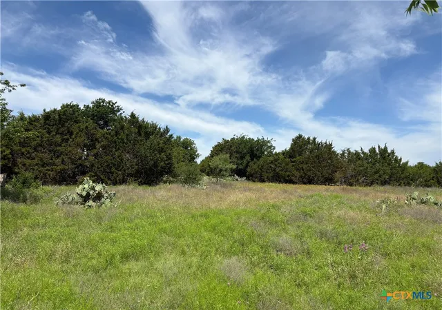 Homes for sale in Lampasas, TX | Tbd County Road 3420, Lampasas, TX 76550 | MLS# 615547