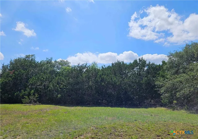 1st image of Lot 14 Cielo Springs Dr, Blanco, TX 78606 | MLS# 614764