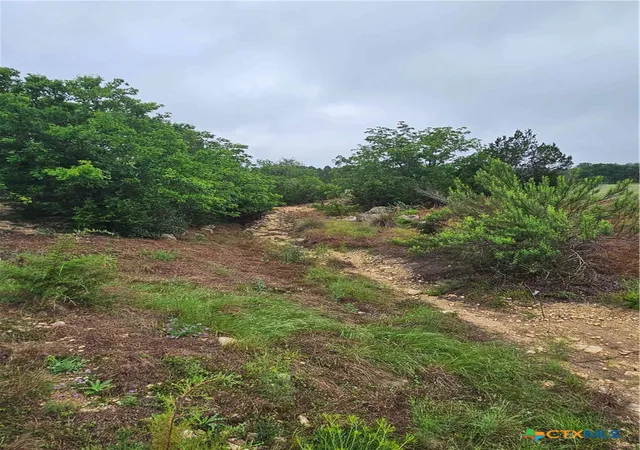 3rd image of Lot 14 Cielo Springs Dr, Blanco, TX 78606 | MLS# 614764