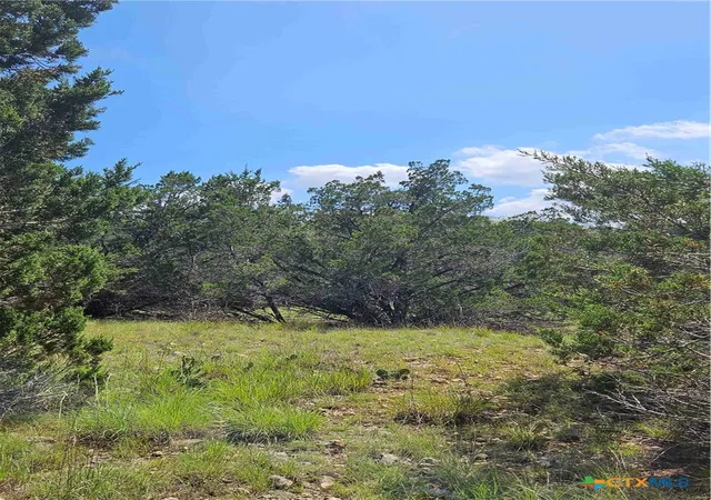 4th image of Lot 14 Cielo Springs Dr, Blanco, TX 78606 | MLS# 614764