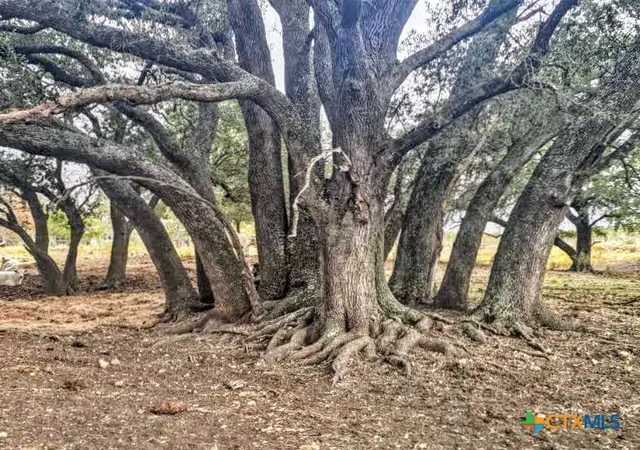 Photo 3 of Land for sale at 387 Black Watch Ln, Lockhart, TX 78644 | MLS# 615700 | Listing updated on 2026-06-04