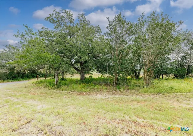 Homes for sale in Nixon, TX | 51 County Road 471, Nixon, TX 78140 | MLS# 615849